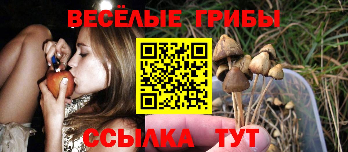 Псилоцибиновые грибы Cubensis Родники